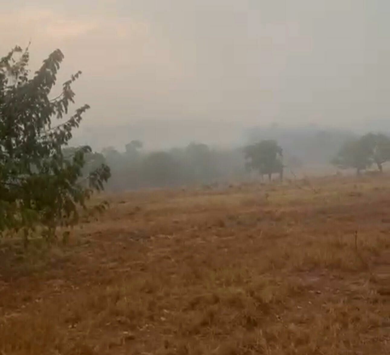 Imagem de compartilhamento para o artigo Deus ouviu o clamor: chuva forte traz alívio, mas fogo segue descontrolado em partes de Alcinópolis e Costa Rica da MS Todo dia